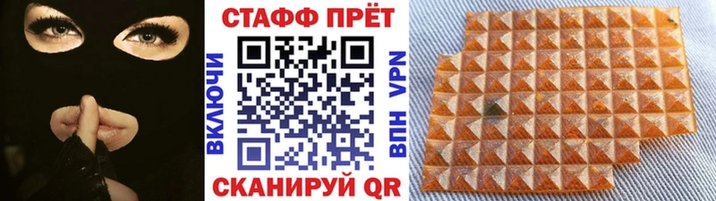 Сколько стоит Елец Гашиш  KRAKEN зеркало  Меф  COCAIN  A PVP  Псилоцибиновые грибы 