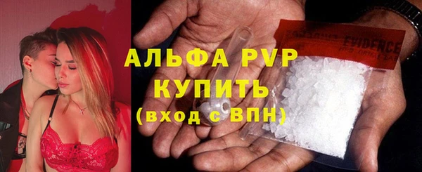 индика Балабаново