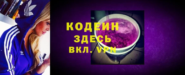 индика Балабаново