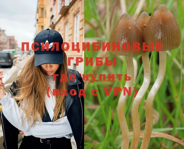 индика Балабаново
