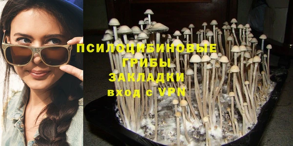 дмт Балахна