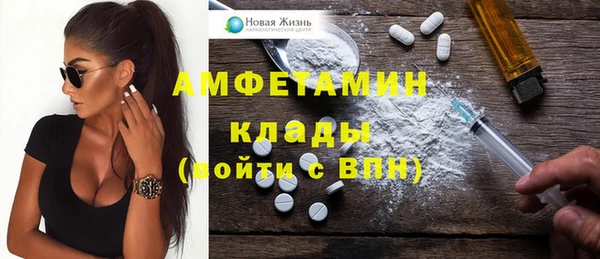 индика Балабаново