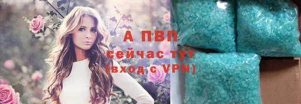 индика Балабаново