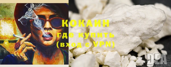 индика Балабаново