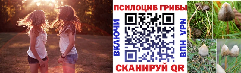 продажа наркотиков  Елец  Галлюциногенные грибы ЛСД 